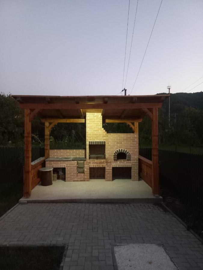 Casa Edy Villa Viseu de Sus Bagian luar foto
