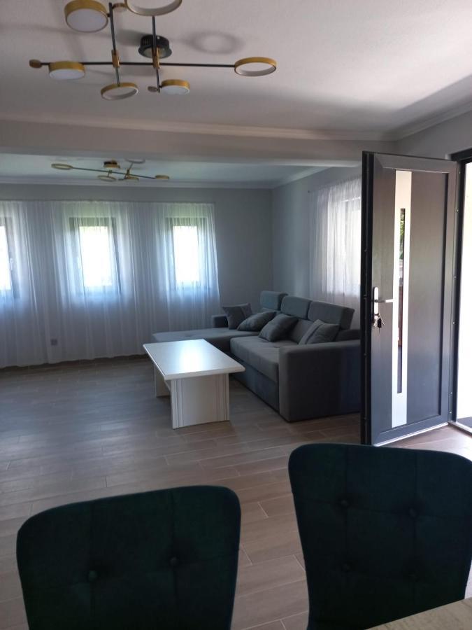 Casa Edy Villa Viseu de Sus Bagian luar foto